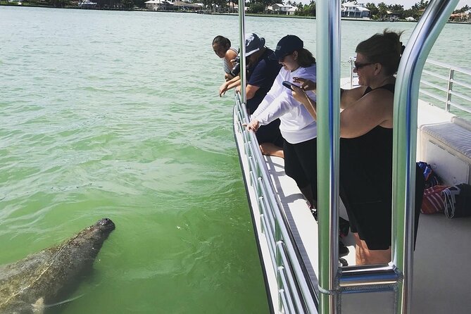 Marco Island Dolphin Sightseeing Tour - The guides are a major part of the experience