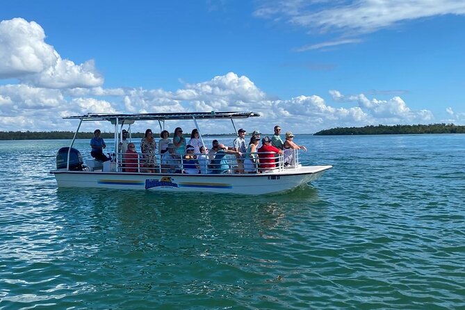 Marco Island Dolphin Sightseeing Tour - Comfort, timing, and what is provided