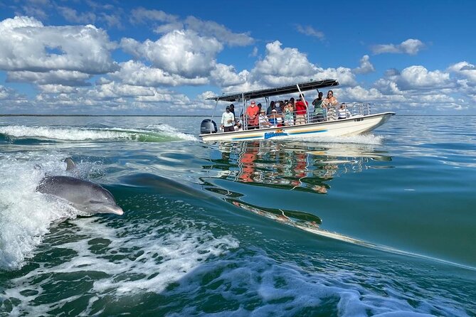 Marco Island Dolphin Sightseeing Tour - Who will enjoy this Marco Island tour?