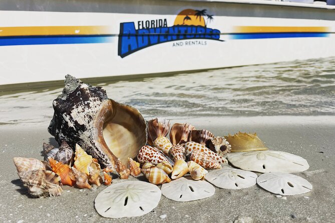 Marco Island Wildlife Sightseeing and Shelling Tour - Setting Out From Goodland Boating Park