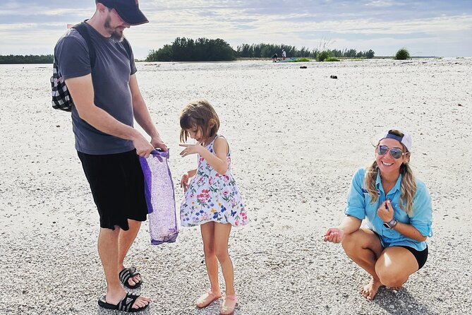 Marco Island Wildlife Sightseeing and Shelling Tour - Shelling on a Quiet Island Beach