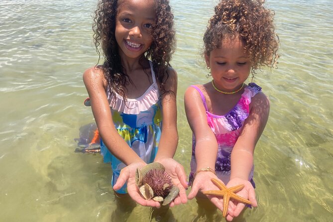 Marco Island Wildlife Sightseeing and Shelling Tour - Cruising Through the Ten Thousand Islands