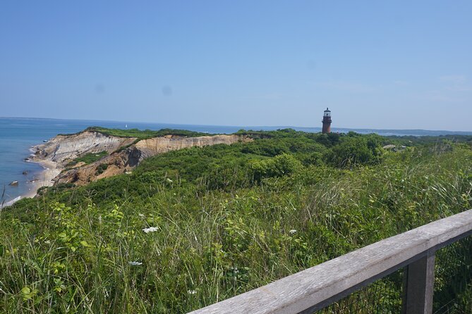 Martha's Vineyard Day Trip with Optional Island Tour from Boston - Is the optional three-hour island tour worth it?