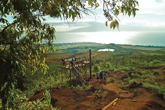Maui 8 line Zipline Adventure: Soar above valleys & Island views - Key points to know before you book