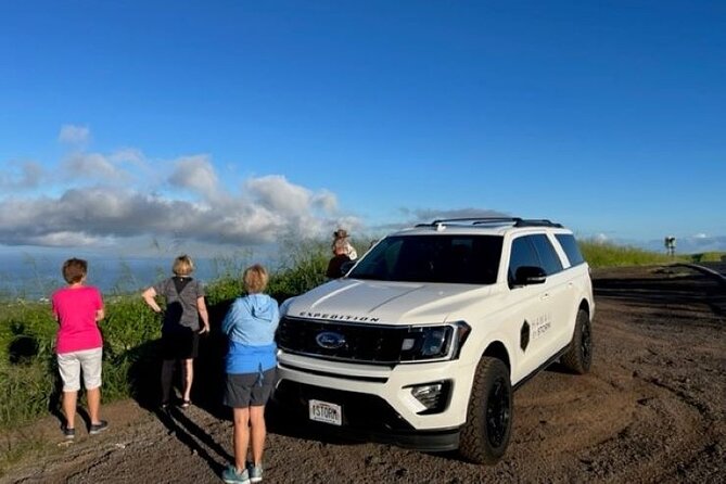Maui by Storm: Epic Private Luxury Road to Hana Adventure Tour - Why a private Road to Hana tour makes sense
