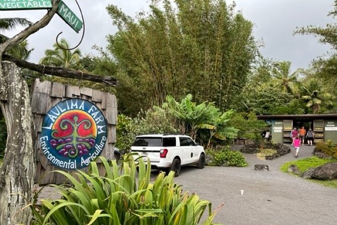 Maui by Storm: Epic Private Luxury Road to Hana Adventure Tour - Farms, fruit, and the local flavor of Maui