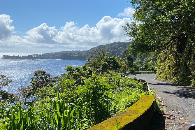 Maui by Storm: Epic Private Luxury Road to Hana Adventure Tour - Waterfalls where you can slow down