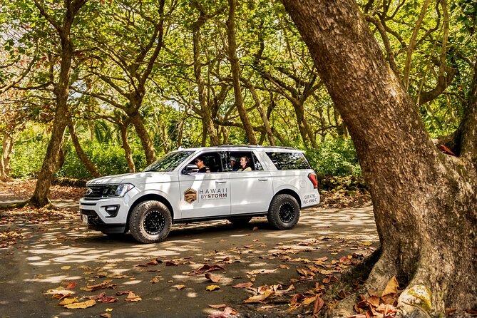 Maui by Storm: Epic Private Luxury Road to Hana Adventure Tour - Wai‘anapanapa and Honokalani Black Sand Beach