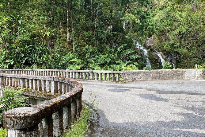 Maui by Storm: Epic Private Luxury Road to Hana Adventure Tour - Lava tubes, Lindbergh’s grave, and optional choices