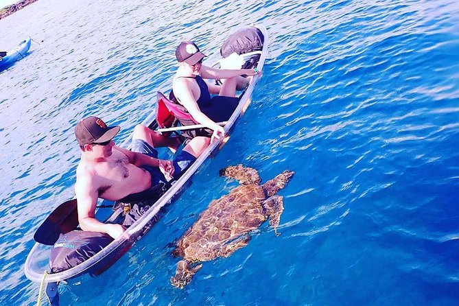 Maui Clear Kayak and Snorkel Tour: Swim with turtles (Makena) - Winter whales and wide-open Maui views