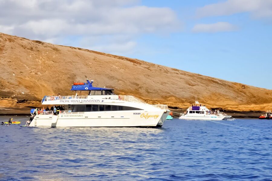 Maui: Eco-Friendly Molokini & Turtle Town Tour with Meals - Lunch grilled onboard after the water time