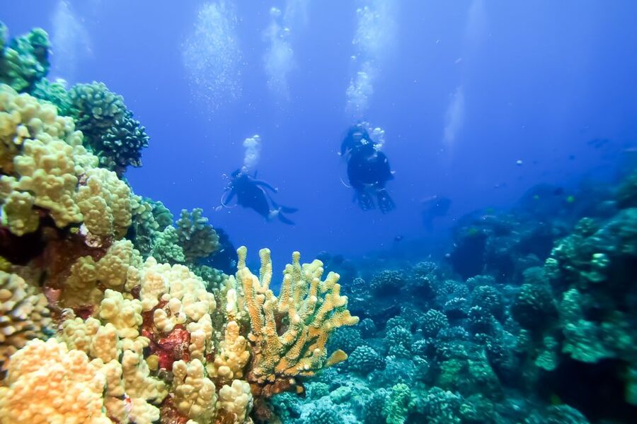 Maui: Eco-Friendly Molokini & Turtle Town Tour with Meals - What makes the eco-friendly promise matter