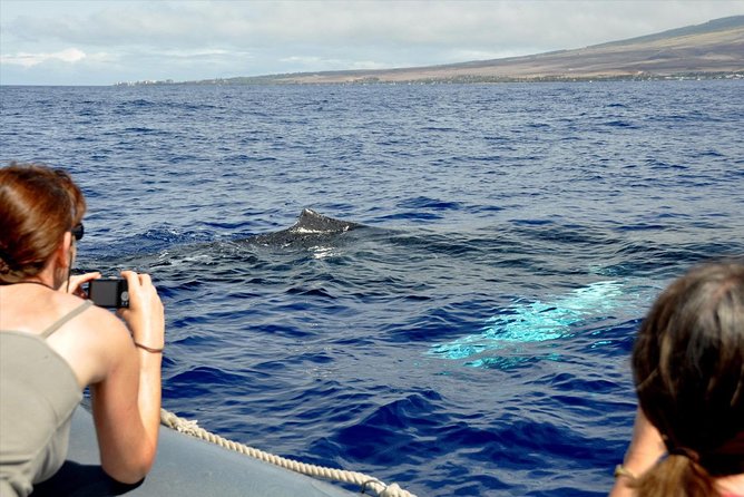 Maui Eco-Raft Tour: Eye-Level Whale or Dolphin Watching - Lahaina - What two and a half hours feels like on the raft