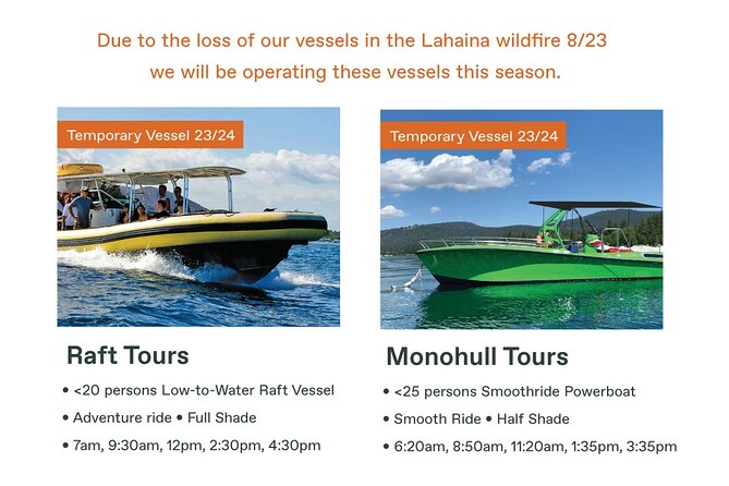 Maui Eco-Raft Tour: Eye-Level Whale or Dolphin Watching - Lahaina - December through April: following Maui’s humpbacks