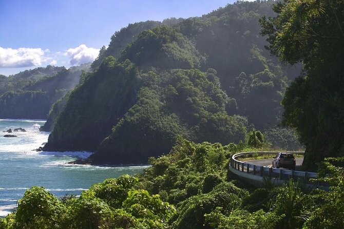 Maui: Famous Road to Hana Waterfalls and Lunch by Mercedes Van - Key Details Before You Book