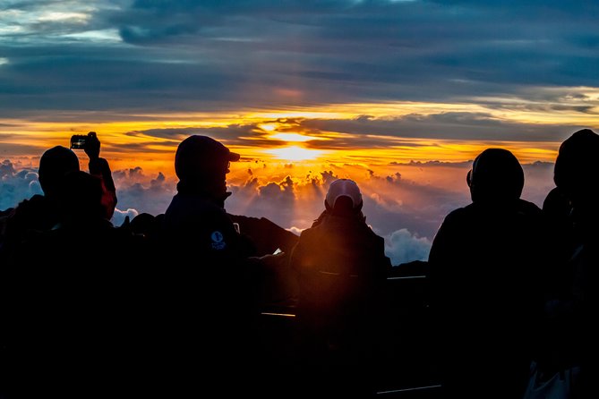 Maui: Haleakala Sunrise Spectacular with Local Breakfast - The climb through Kula and Haleakala National Park