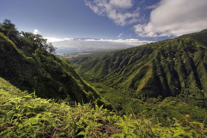 Maui Horseback Adventure at Circle M Ranch With Real Cowboys - Key Points Before You Book