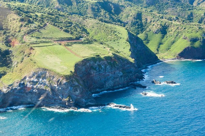Maui Horseback Adventure at Circle M Ranch With Real Cowboys - Up the Mountain Through Taro and Plantation Country