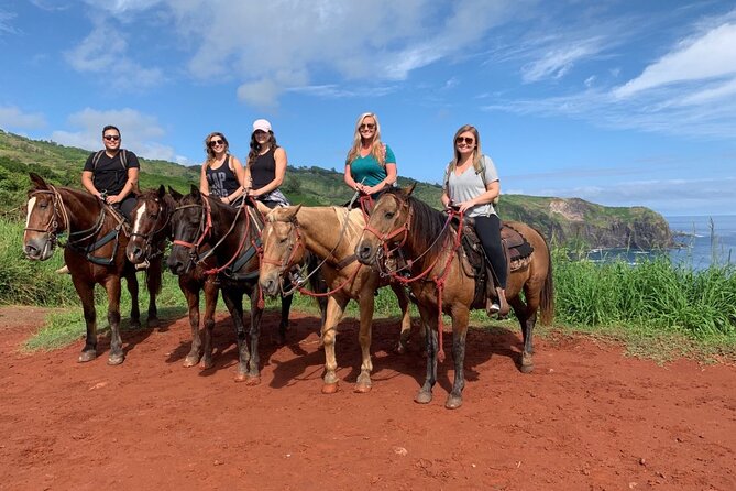 Maui Horseback Adventure at Circle M Ranch With Real Cowboys - The Horses and the Human Side of the Ride