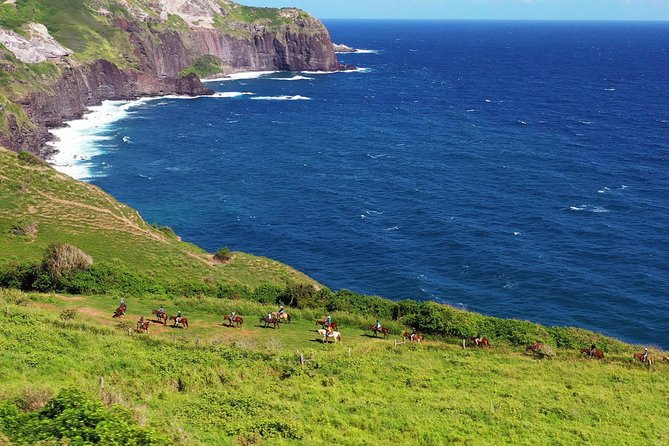 Maui Horseback Adventure at Circle M Ranch With Real Cowboys - Check-In at Circle M Ranch