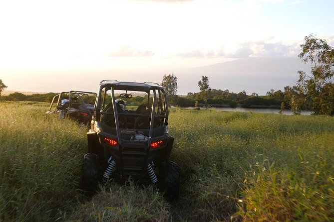 Maui: Lahaina ATV Adventure - The Polaris RZR choice: driver or passenger