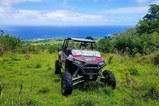 Maui: Lahaina ATV Adventure - The tree-planting stop is the memorable touch