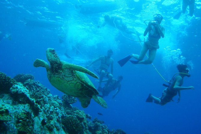 Maui: Molokini and Turtle Town Snorkeling aboard Pride of Maui - What the five hours feel like
