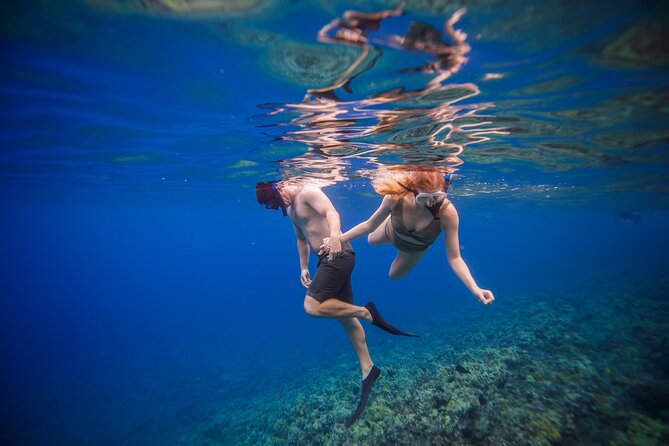 Maui: Molokini Crater and Turtle Town Snorkeling From Kihei - Price and overall value at $179