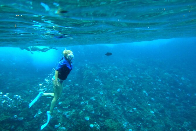 Maui: Molokini & Turtle Town Snorkel & Waterslide Adventure - The waterslide is the tour’s playful twist
