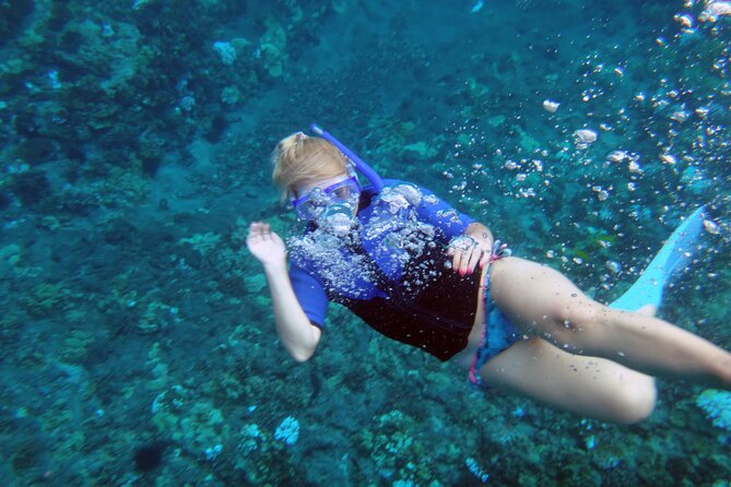 Maui: Molokini & Turtle Town Snorkel & Waterslide Adventure - Whale watching from November through April