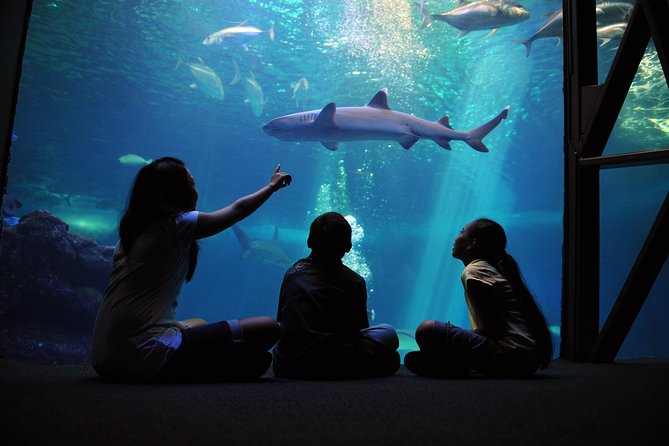 Maui Ocean Center All Day Admission Ticket - Five things to know before you go