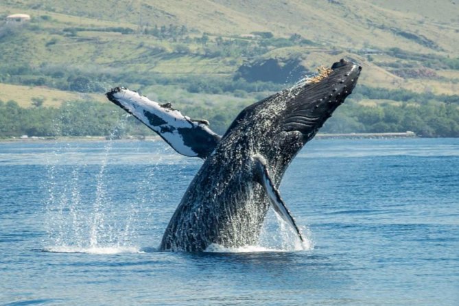 Maui: Original Sunset Cruise with Open Bar from Ka’anapali Beach - Sunset, clouds, and expectations