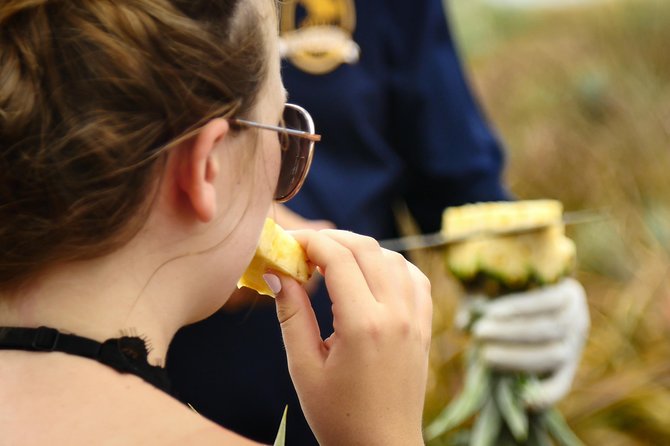 Maui Pineapple Farm Tour in Haliimaile - Planning the visit around your Maui day