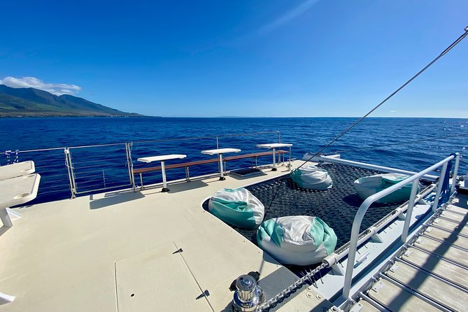Maui Premium Sunset Dinner Cruise from Ka’anapali Beach - Winter whale watching can transform the evening
