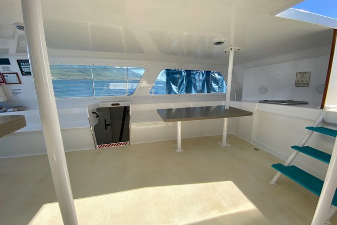 Maui Premium Sunset Dinner Cruise from Ka’anapali Beach - Who should book this Maui dinner cruise?