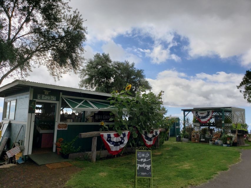Maui: Road to Hana Adventure with Breakfast & Lunch - Waterfalls at Puaa Kaa State Park