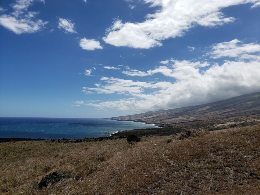 Maui: Road to Hana Adventure with Breakfast & Lunch - The guide can make or break the day