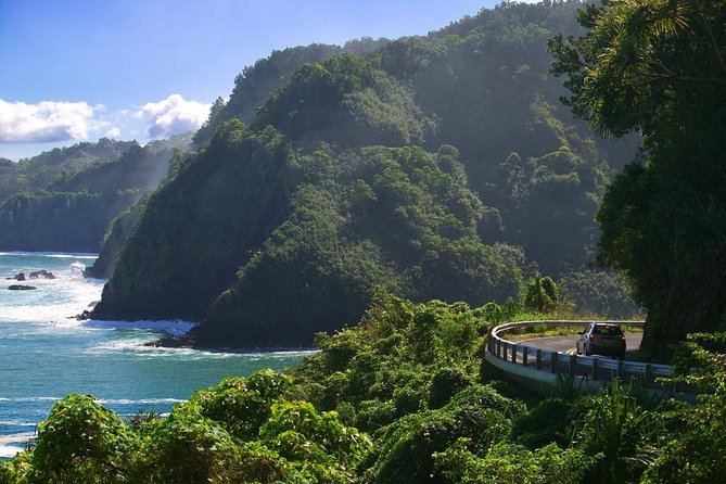 Maui: Road to Hana Adventure with Farm to Table Lunch - Pua’a Ka’a brings the chance to swim