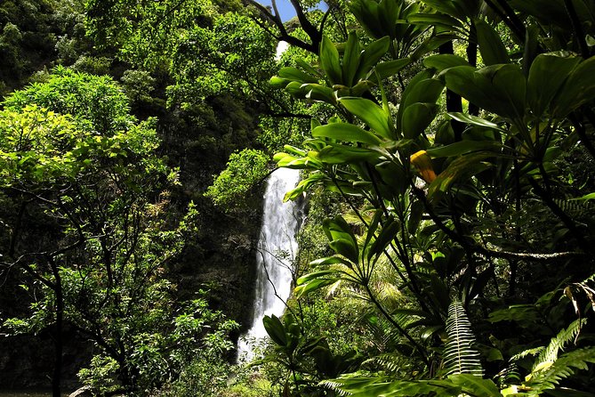 Maui: Road to Hana Luxury Limo-Van Tour with Helicopter Flight - Waterfalls, pools, and the road toward Hana