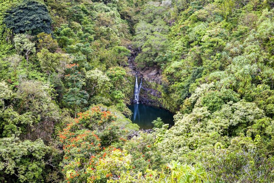 Maui: Small-Group Road to Hāna Sightseeing Tour - What the guide adds to the scenery