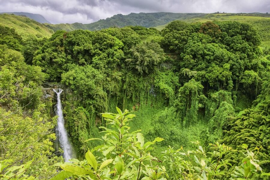 Maui: Small-Group Road to Hāna Sightseeing Tour - Hookipa Lookout and the first coastal views