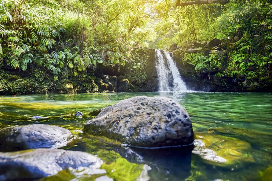 Maui: Small-Group Road to Hāna Sightseeing Tour - Rainbow eucalyptus, state parks, and waterfalls