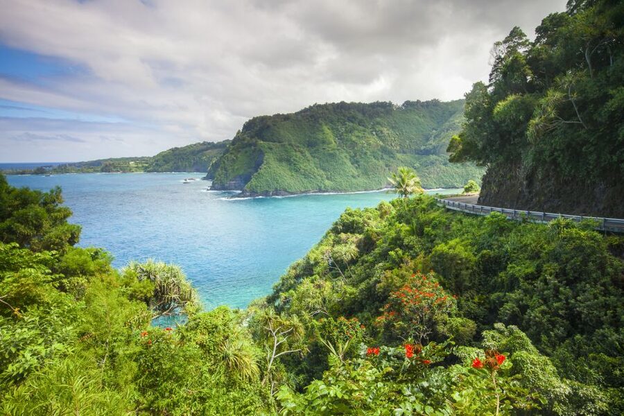 Maui: Small-Group Road to Hāna Sightseeing Tour - Hāna town, ranchlands, and the return route