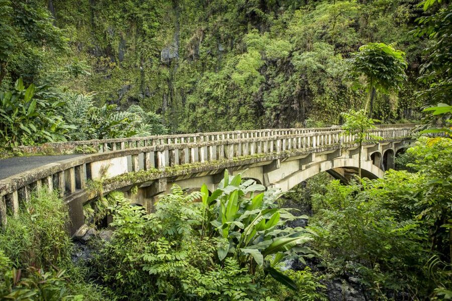 Maui: Small-Group Road to Hāna Sightseeing Tour - The BBQ lunch is more than a box meal