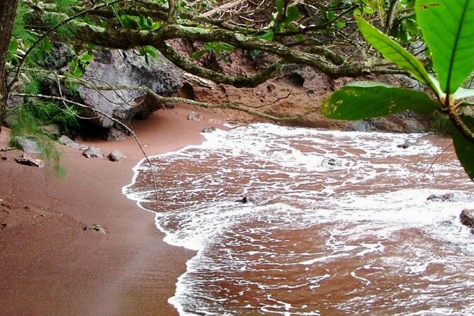 Maui: Small Group Road to Hāna Tour 6 to 8 passengers - Why you should not count on the Seven Sacred Pools