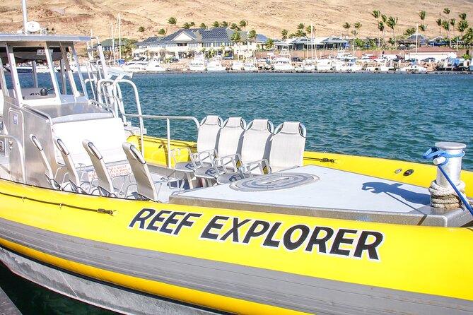 Maui Snorkel Adventure: Molokini Crater and Turtle Cove - Stop two: Turtle Cove and Maui’s Green Sea Turtles