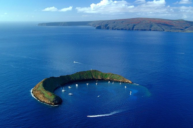 Maui Snorkeling Adventure From Ma'alaea Harbor to Molokini - An Early Start At Ma’alaea Harbor