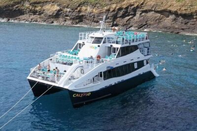 Maui Snorkeling Adventure From Ma’alaea Harbor to Molokini