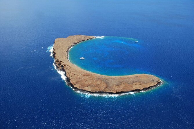 Maui Snorkeling Adventure to Molokini and Turtle Town - Quick facts about the morning on the water