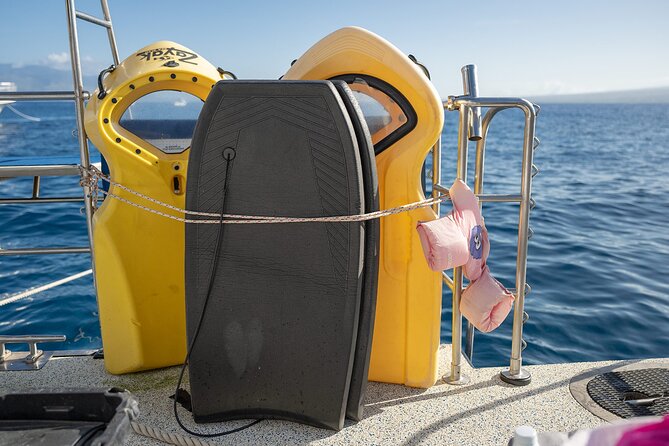 Maui Snorkeling Adventure to Molokini and Turtle Town - Final call: good value, with realistic expectations